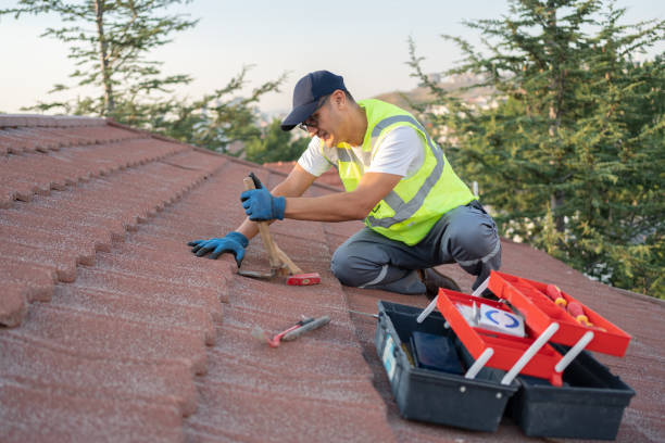 Roof Gutter Cleaning in Broadlands, VA